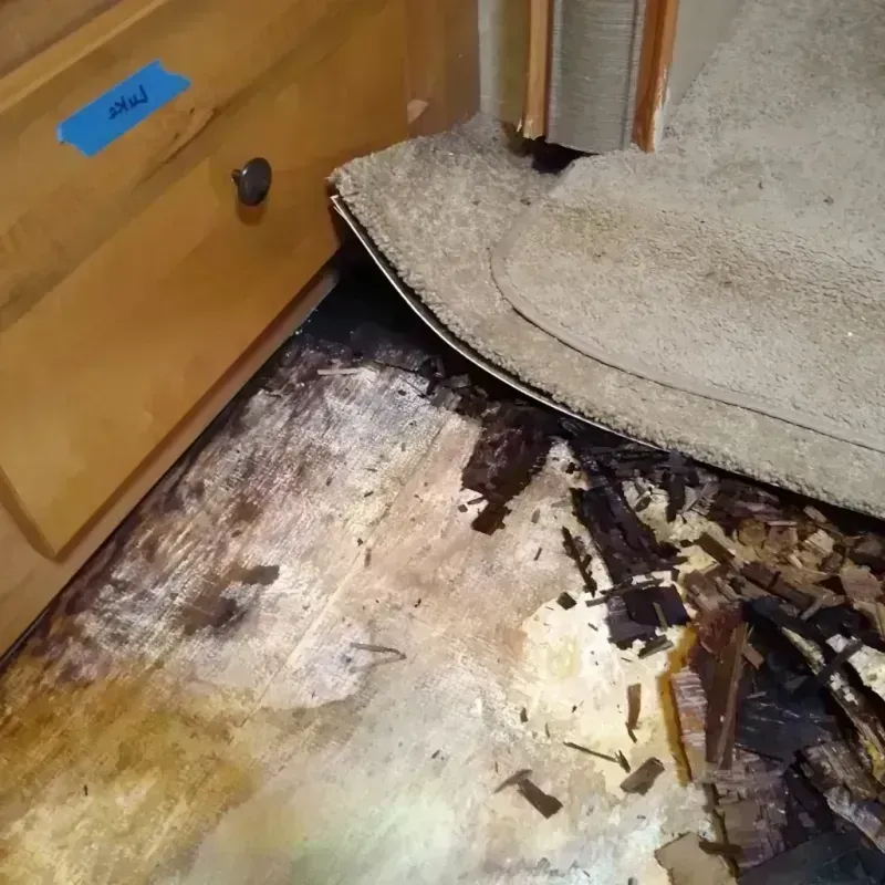 Wood Floor Water Damage in Palermo, CA